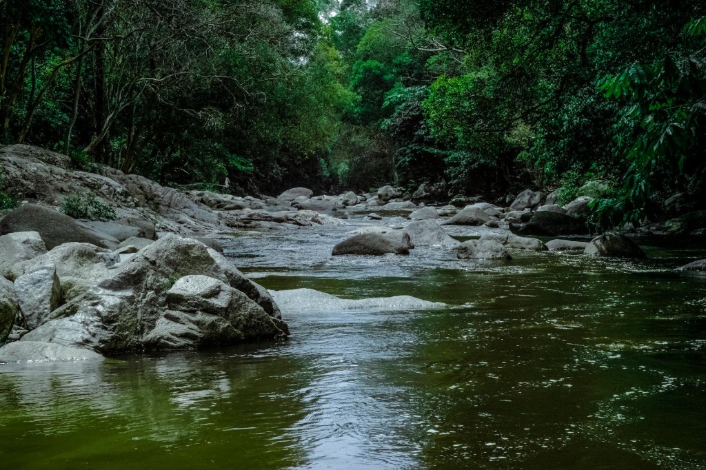 A brook with water flowing around rocks.