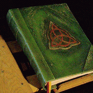 Flipping through a Book of Shadows.