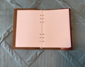 My Book of Shadows opened to blank unlined sheets of paper.